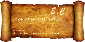 Streicher Cézár névjegykártya